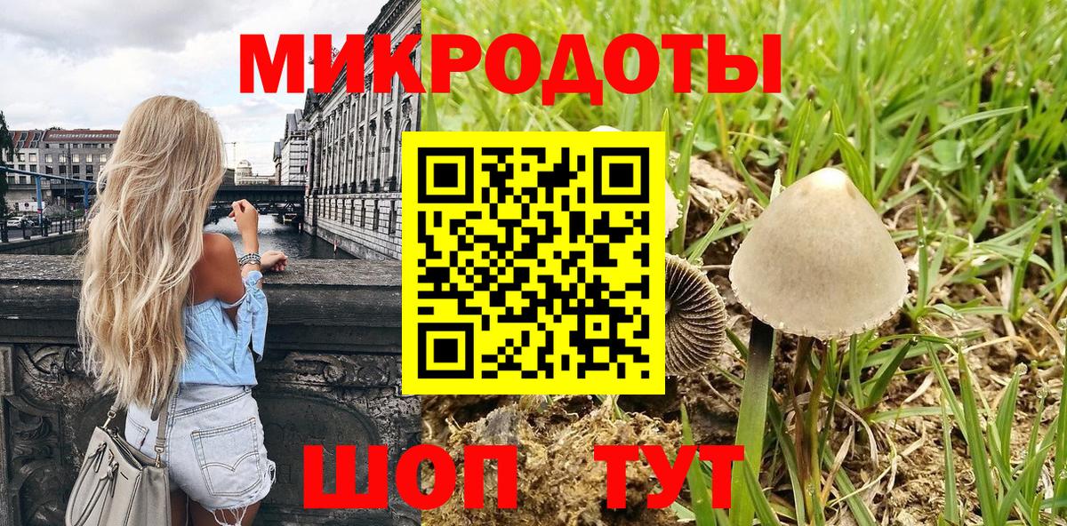 Галлюциногенные грибы мухоморы Ростов Великий