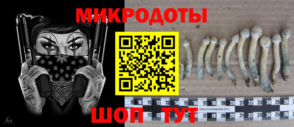 Галлюциногенные грибы MAGIC MUSHROOMS  Псилоцибиновые грибы прущие грибы  Ростов Великий  Вход с VPN 